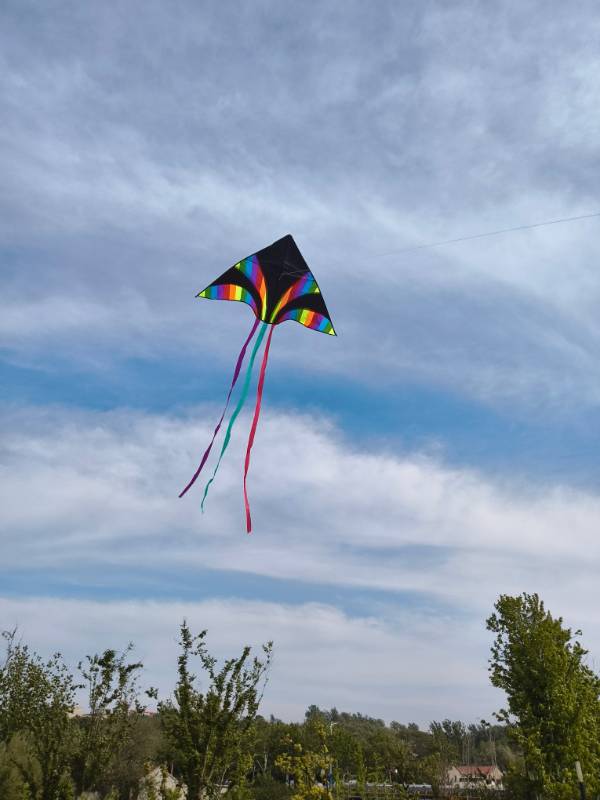 昨天放风筝去了